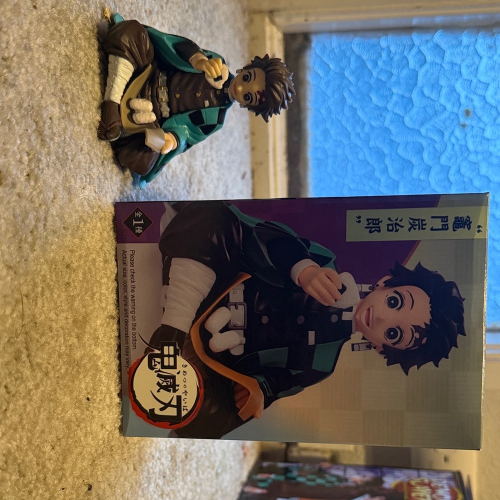 Anime Figure with Box